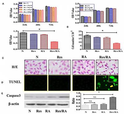 Resveratrol Reverses Retinoic Acid Resistance of Anaplastic Thyroid Cancer Cells via Demethylating CRABP2 Gene